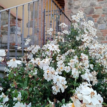 Appartamento Olivella Reggello Exterior photo
