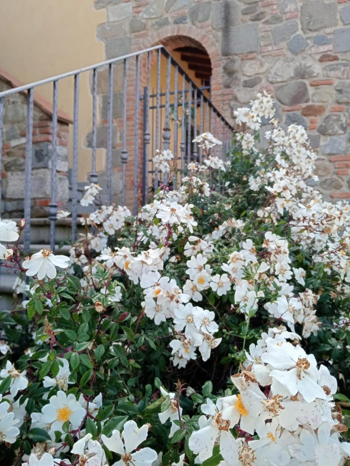 Appartamento Olivella Reggello Exterior photo